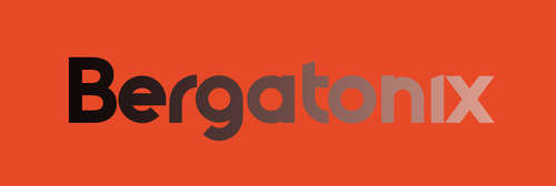 BERGATONIX